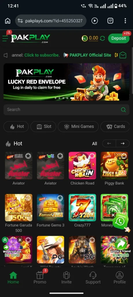 PAKPLAY Game